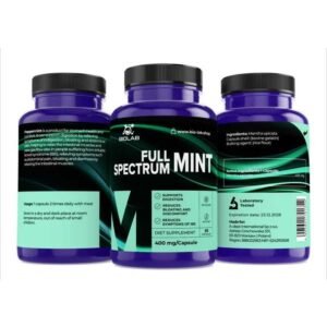 Full Spectrum Mint 400 mg