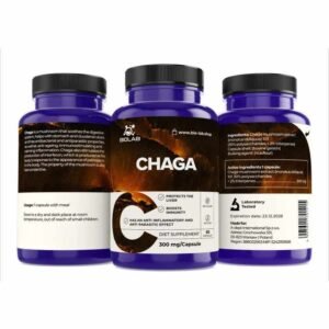 Chaga